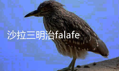 沙拉三明治falafel king游戏下载