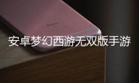 安卓梦幻西游无双版手游