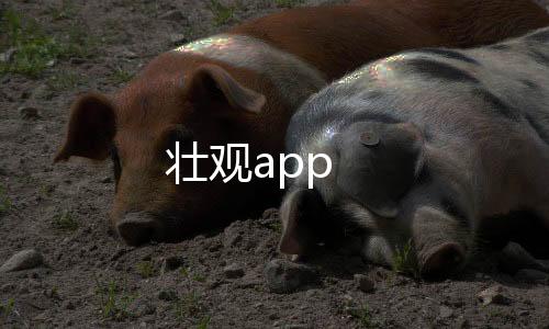 壮观app下载
