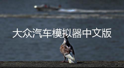 大众汽车模拟器中文版下载