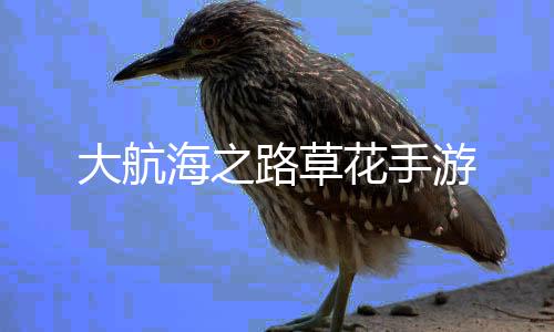 大航海之路草花手游下载