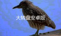 大转盘安卓版