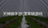 天神镇手游(蓬莱镇游戏)