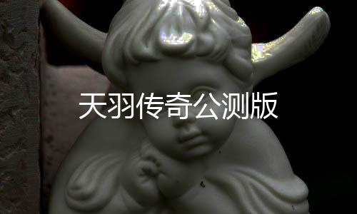 天羽传奇公测版下载