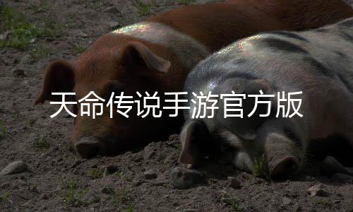 天命传说手游官方版下载