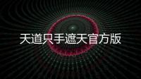 天道只手遮天官方版