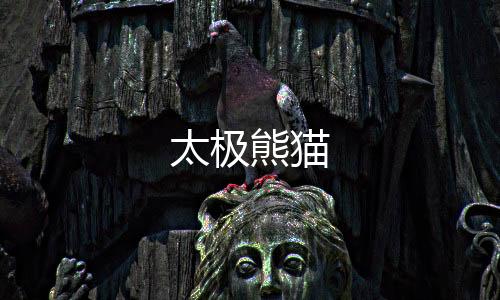 太极熊猫下载