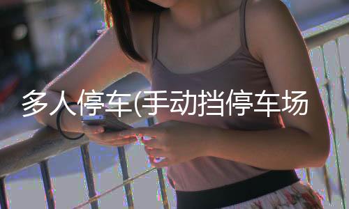 多人停车(手动挡停车场2024最新版本)下载