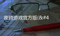 夜鸦游戏官方版(나이트크로우)