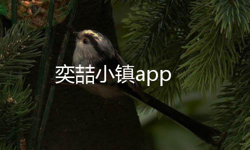 奕喆小镇app下载