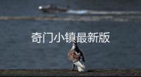 奇门小镇最新版