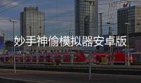 妙手神偷模拟器安卓版