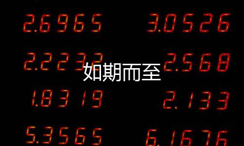 如期而至下载
