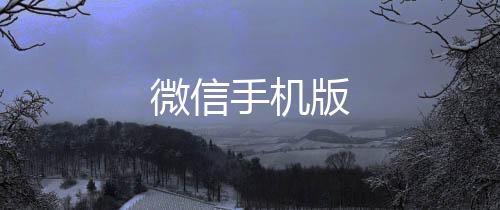 微信手机版下载