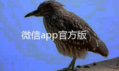 微信app官方版下载