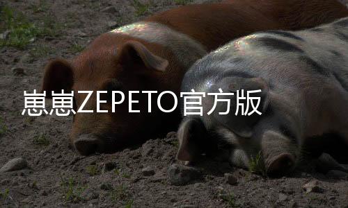 崽崽ZEPETO官方版下载