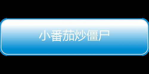 小番茄炒僵尸下载