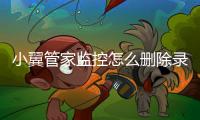 小翼管家监控怎么删除录像 具体操作方法介绍