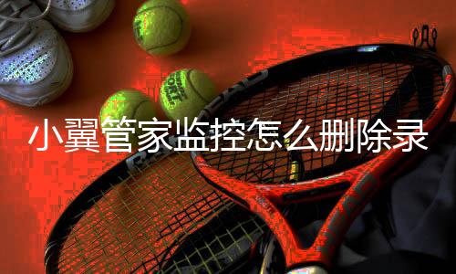 小翼管家监控怎么删除录像 具体操作方法介绍下载