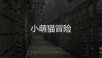 小萌猫冒险