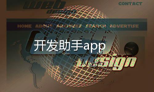 开发助手app下载
