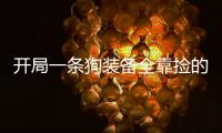 开局一条狗装备全靠捡的游戏破解版