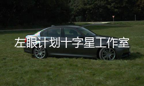 左眼计划十字星工作室下载