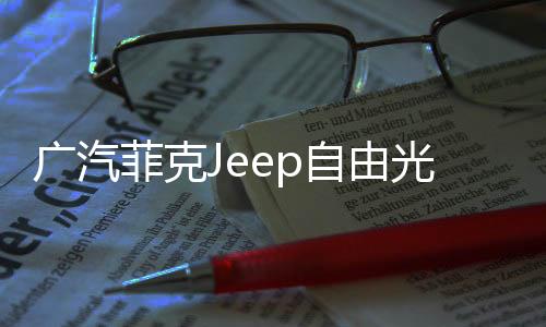 广汽菲克Jeep自由光吉普大切诺基原装电瓶汽车80AH瓦尔塔蓄电池下载