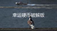 幸运硬币破解版