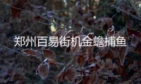 郑州百易街机金蟾捕鱼