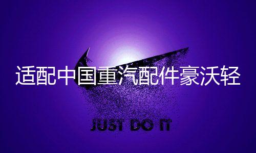 适配中国重汽配件豪沃轻卡悍将统帅玻璃升降器开关门控锁车窗开关下载