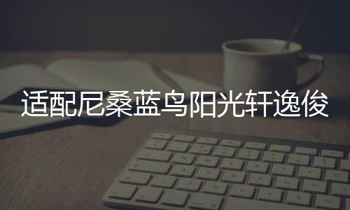 适配尼桑蓝鸟阳光轩逸俊逸颐达骐达逍客原装瓦尔塔蓄电池汽车电瓶下载