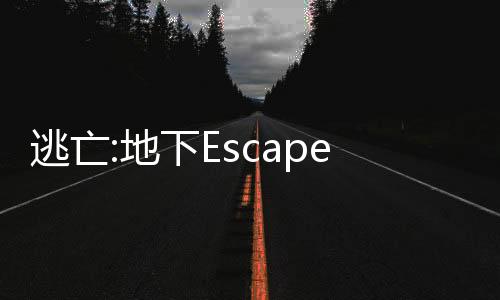 逃亡:地下Escape: Underground游戏下载