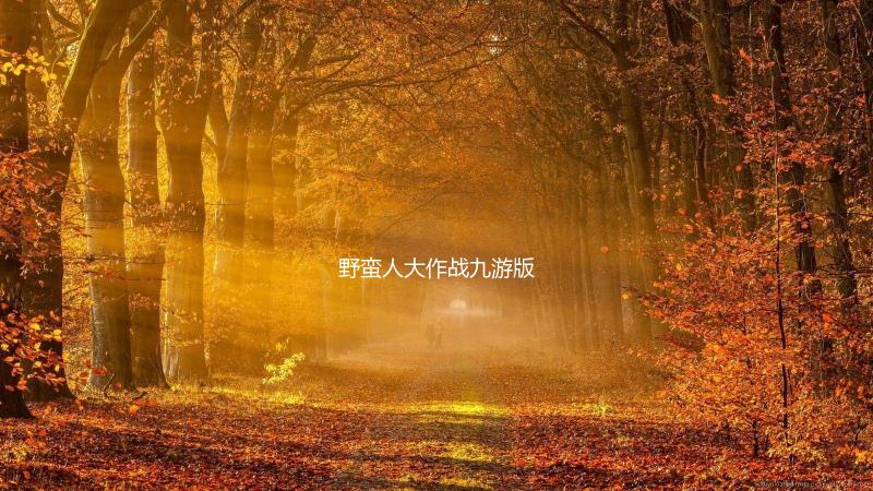 野蛮人大作战九游版下载
