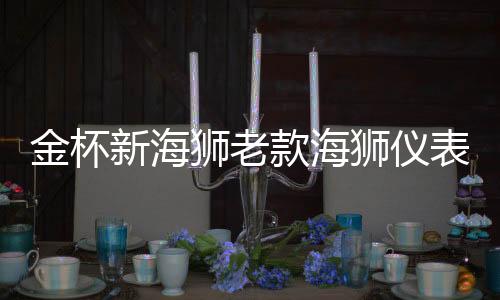 金杯新海狮老款海狮仪表工作台防晒避光垫汽车内饰专用品配件改装下载