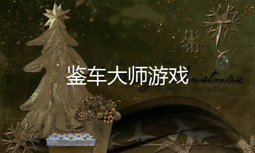 鉴车大师游戏下载