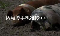 闪电修手机维修app