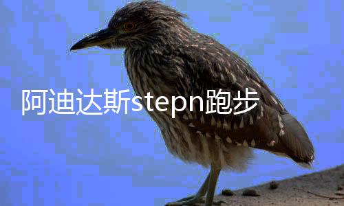 阿迪达斯stepn跑步链游下载