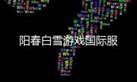 阳春白雪游戏国际服