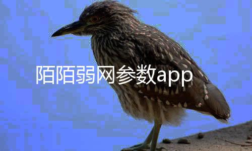陌陌弱网参数app下载
