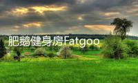 肥鹅健身房Fatgoose Go: Merge and Story官方版