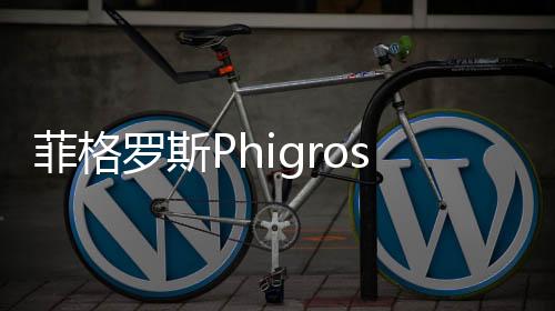 菲格罗斯Phigros2024鸽游下载