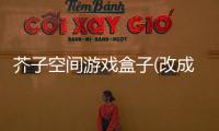 芥子空间游戏盒子(改成芥末空间)