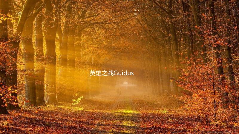 英雄之战Guidus下载