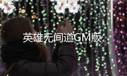 英雄无间道GM版下载