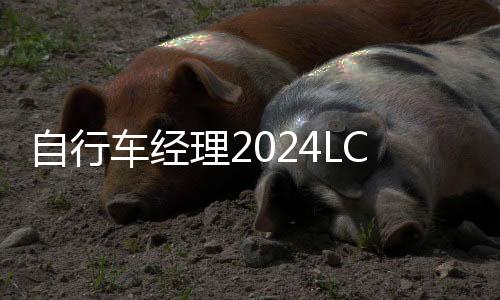 自行车经理2024LCM2024官方版下载