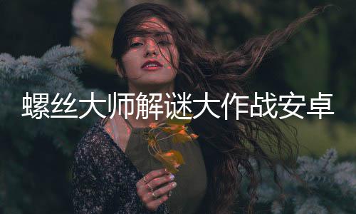 螺丝大师解谜大作战安卓版下载