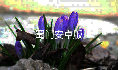 蜀门安卓版下载