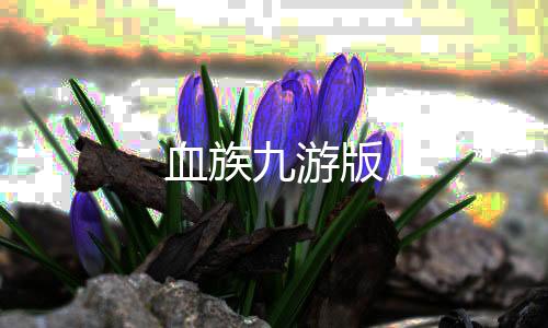血族九游版下载
