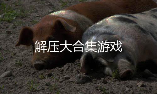 解压大合集游戏下载